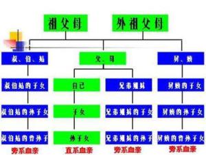 编辑2具体范围直系血亲,是指和自己有直接血缘关系的亲属(具有生与被