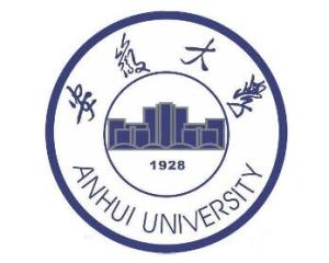 安徽大学那一年升为211
