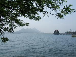 新泰经济总量_新泰张宸