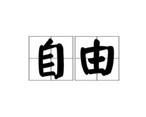 自由不受约束是什么词 300