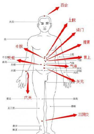 脘腹各部位的划分 膈以下为腹部上腹部剑突的下方,称为心