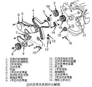 正时皮带