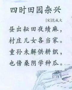时田园杂兴》是南宋诗人范成大退居家乡后写的一组大型田园诗,分春日