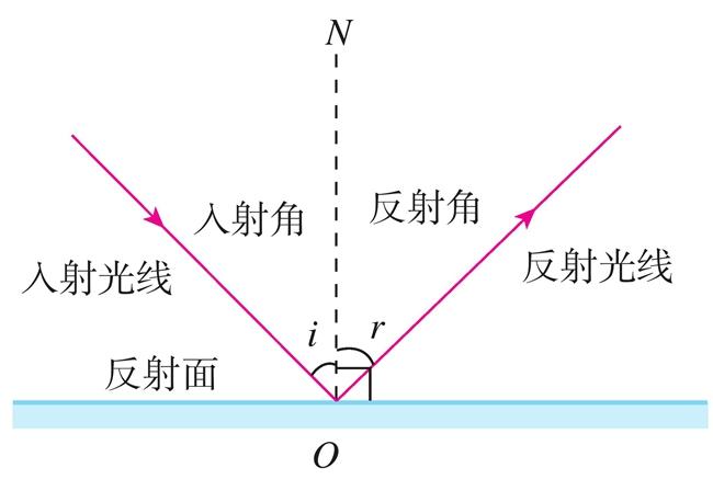 光的反射现象中,光路上是可逆的.