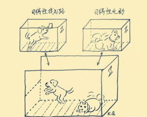 习得性无助