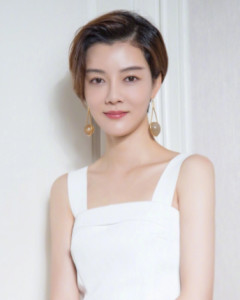 车晓 搜狗百科