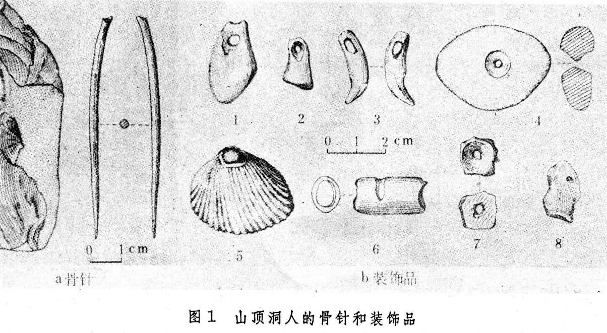 山顶洞人石器和骨针