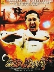 《无敌铁砂掌》是由李子雄,洪天明等主演的一部大陆动作电影.