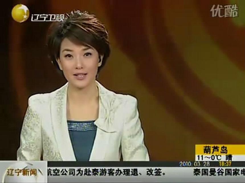 许玲玲,毕业于天津师范大学,辽宁广播电视台《辽宁新闻》节目主播.