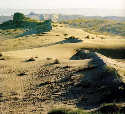 土地荒漠化(land desertification)又称为土地沙漠化,土地退化,沙漠