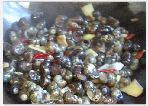 梦见吃了有寄生虫的螺丝,把剩下没吃的放水里