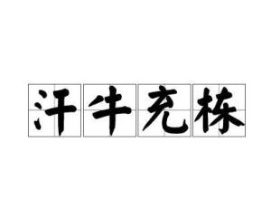 汗牛充栋