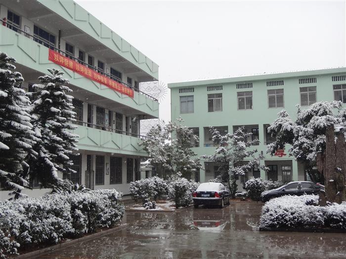 汀田第三小学  创办时间 1952年9月  所属地区 浙江省瑞安市汀田街道