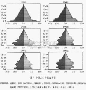 人口年龄结构 年轻型_年轻人不生小孩,为什么焦虑的却是马云