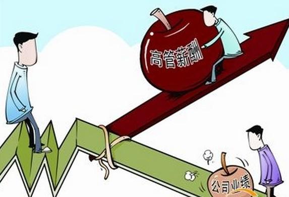 薪酬设计模板分享展示