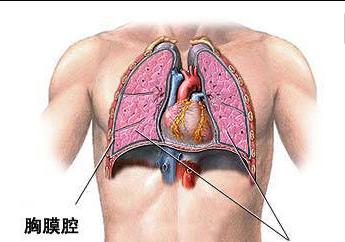 胸膜腔