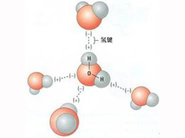 氢键是指生成x-h…y形式的一种特殊作用,分为分子内氢键,分子间氢键.