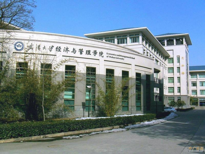 武汉大学经济与管理学院会计系