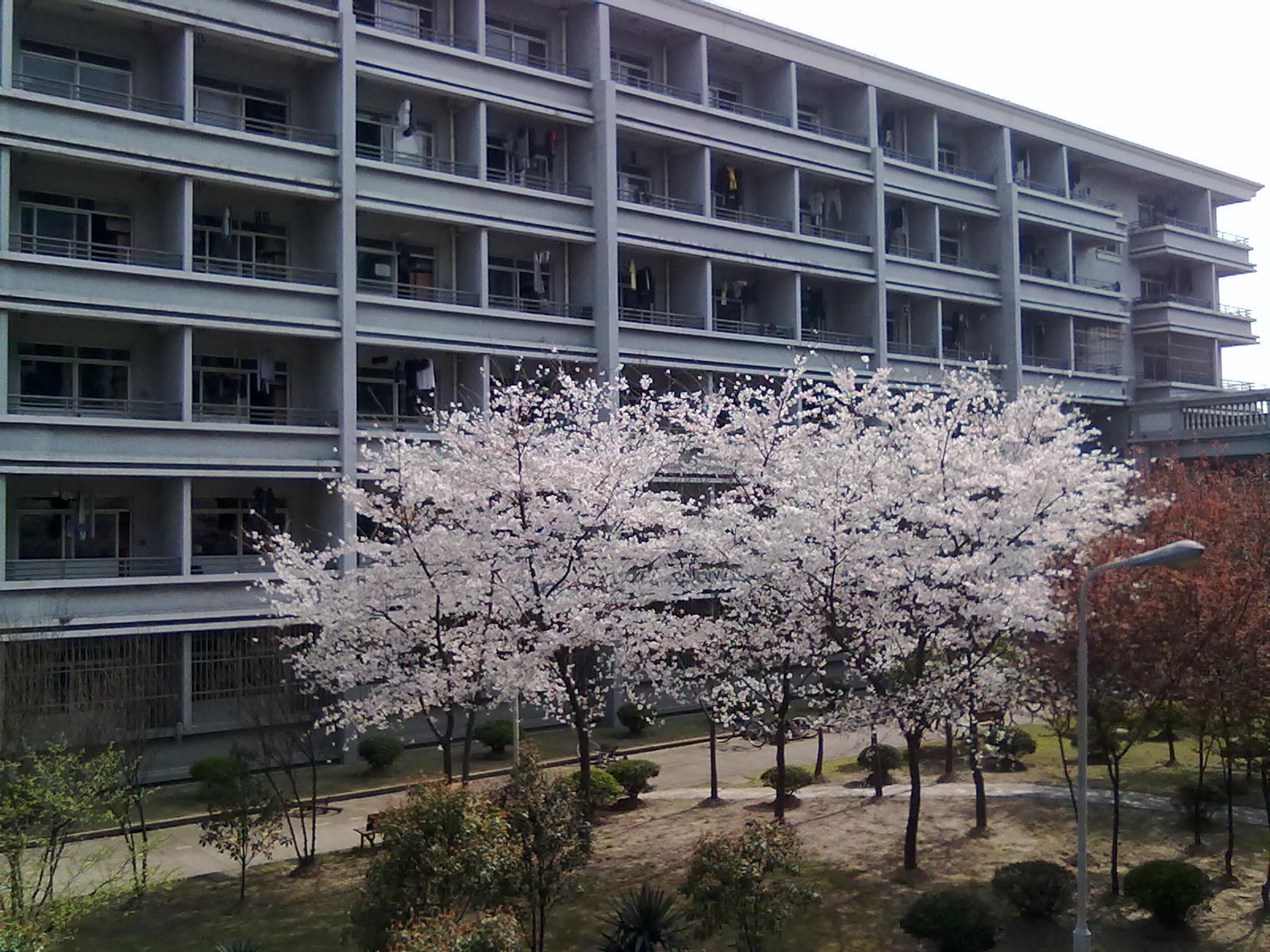 上海电机学院