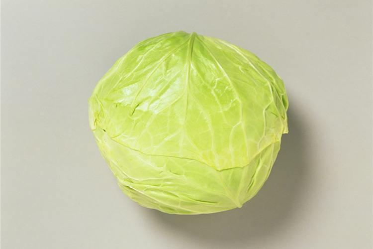 卷心菜