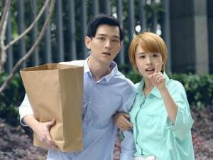 可惜不是你(2017年范世锜、宋妍霏、肖顺尧主