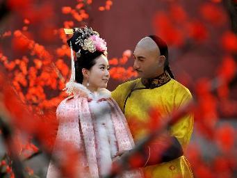 步步惊心(2011年吴奇隆主演电视剧)