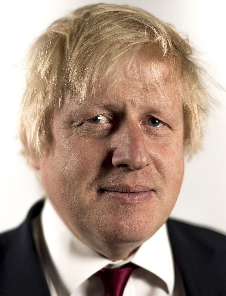 鲍里斯·约翰逊(boris johnson),英国国会保守党籍议员,2008年