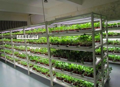 生物育种