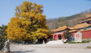 安丘