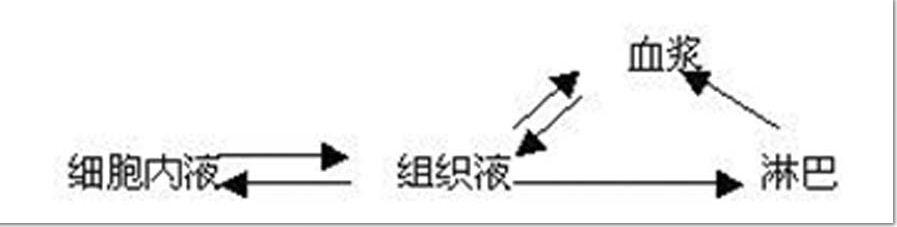 正常成年人的体液量约占体重60%,其中细胞外液占总体液的   1/3,细胞