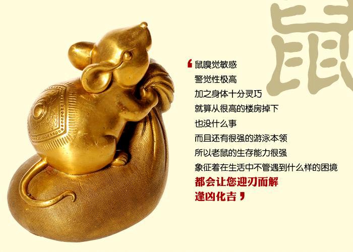 鼠(十二生肖之一)