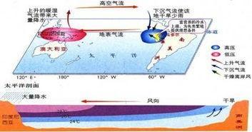 沃克环流