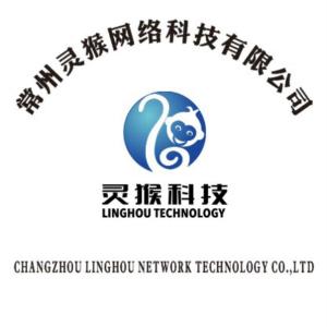 卓越网络科技有限公司玉林 300