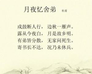 月夜忆舍弟