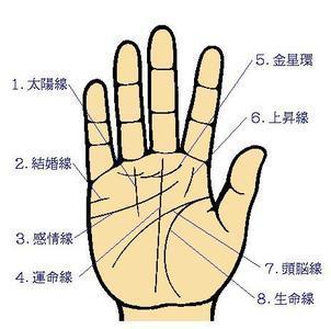掌纹能告诉人们什么呢?