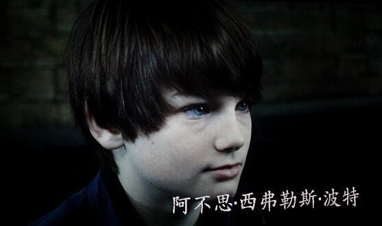 阿不思·西弗勒斯·波特(albus severus potter)介绍:哈利的次子,约为