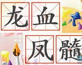 是什么髓成语_什么是髓室顶解剖图