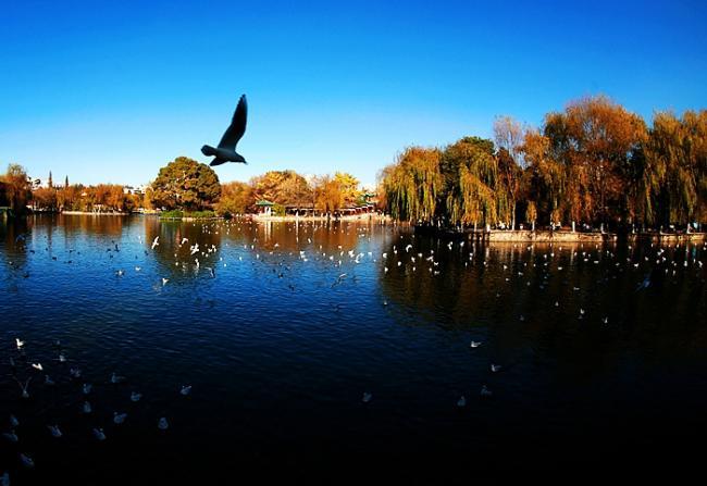 大理市gdp_大理州各市县 大理市人口最多经济最好,云龙县面积最大(3)