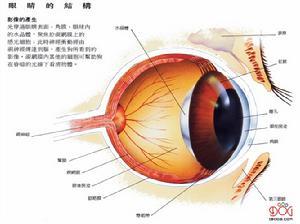 钱真的是人的第二生命吗?