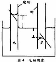 什么叫毛细现象 ext-20090109120000-101596.jpg