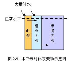 电解质紊乱(electrolyte disturbance)     全称 水和电解质紊乱 水