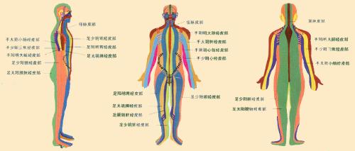 全息經絡刮痧減肥法