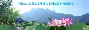 建宁莲子