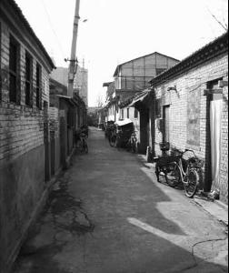 石头胡同