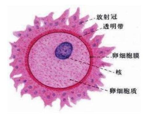 通过联系方式做出有意义的贡献