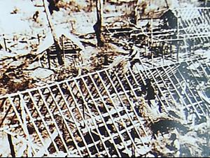 国营黎明农场创建之初盖草房、上椽子