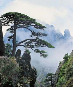 黄山