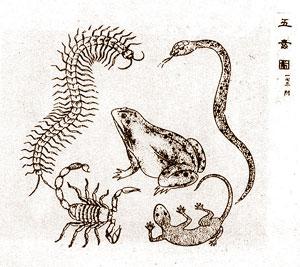 五毒俱全 - 搜狗百科