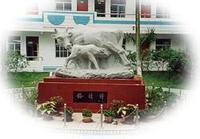 南宁市天桃实验学校 搜狗百科