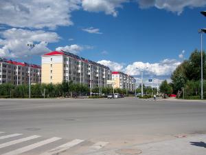 为加快林东镇的城镇基础建设发展步伐,按照《林东